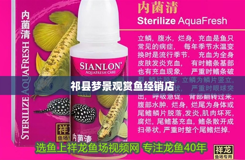 祁縣夢景觀賞魚經銷店