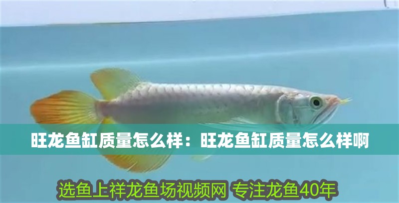 旺龍魚(yú)缸質(zhì)量怎么樣：旺龍魚(yú)缸質(zhì)量怎么樣啊 旺龍魚(yú)缸質(zhì)量怎么樣：旺龍魚(yú)缸質(zhì)量怎么樣啊 水族問(wèn)答