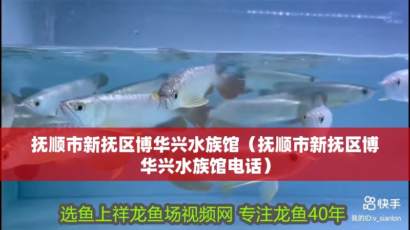 撫順市新撫區博華興水族館（撫順市新撫區博華興水族館電話）