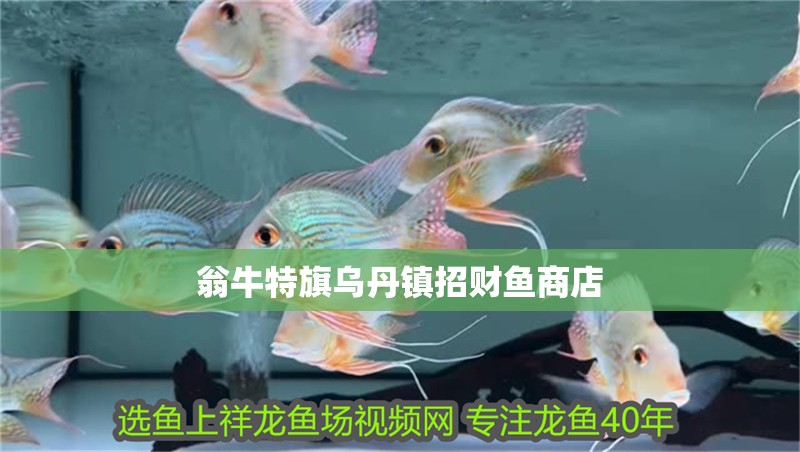 翁牛特旗烏丹鎮招財魚商店