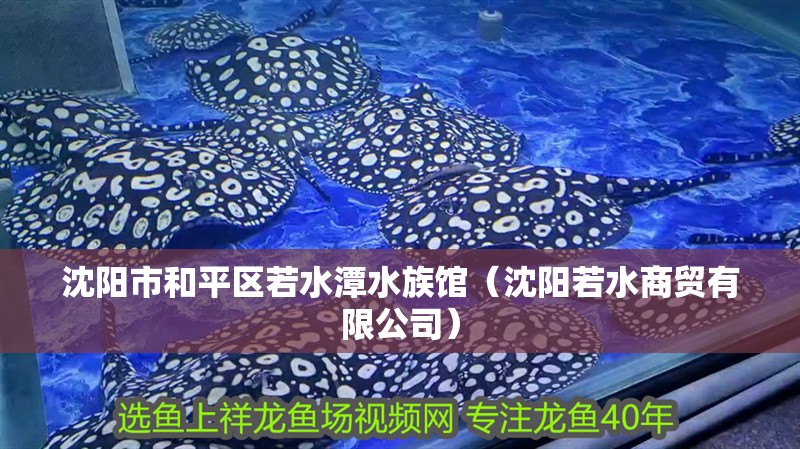 沈陽市和平區(qū)若水潭水族館（沈陽若水商貿(mào)有限公司）