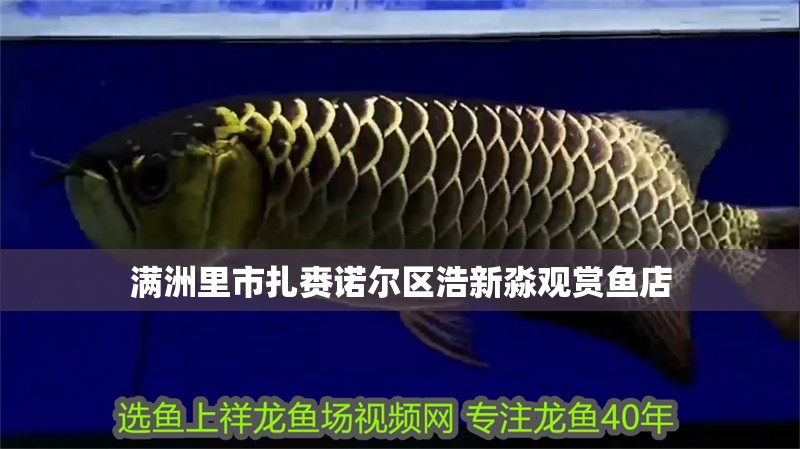 滿洲里市扎賚諾爾區浩新淼觀賞魚店