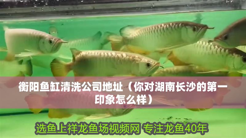 衡陽魚缸清洗公司地址(你對湖南長沙的第一印象怎么樣) 魚缸百科 第1張 衡陽魚缸清洗公司地址(你對湖南長沙的第一印象怎么樣) 衡陽魚缸清洗公司地址(你對湖南長沙的第一印象怎么樣) 魚缸百科 第1張
