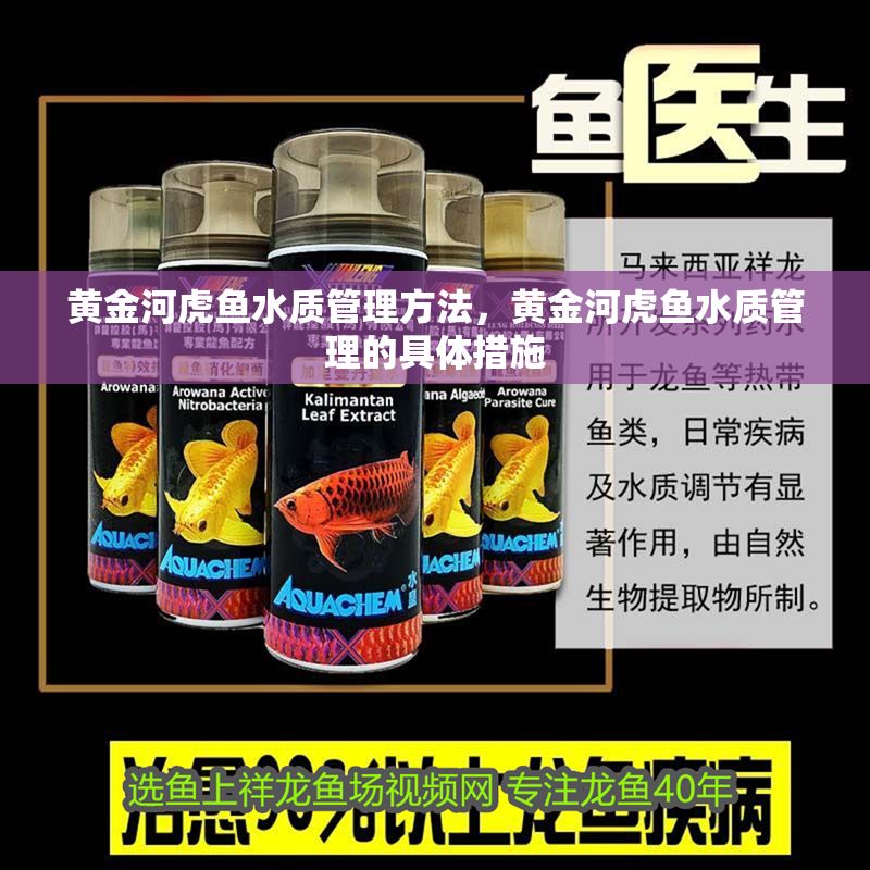 黃金河虎魚水質管理方法，黃金河虎魚水質管理的具體措施