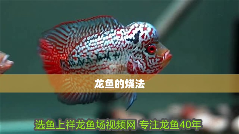 龍魚(yú)的燒法