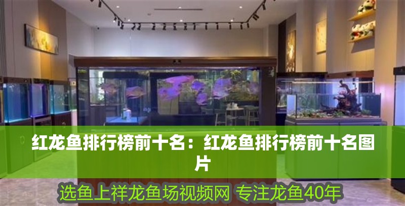 紅龍魚排行榜前十名：紅龍魚排行榜前十名圖片