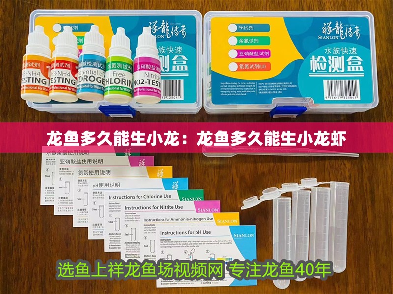 龍魚多久能生小龍：龍魚多久能生小龍蝦 龍魚多久能生小龍：龍魚多久能生小龍蝦 水族問答