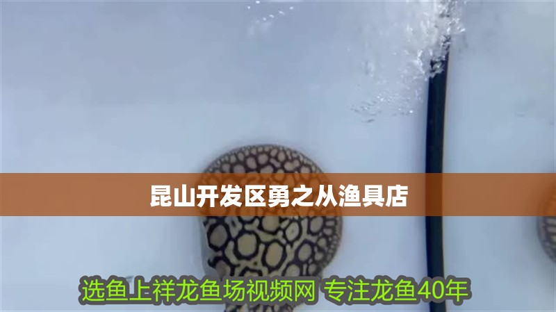 龍魚干蝦有營養(yǎng)嗎 昆山開發(fā)區(qū)勇之從漁具店 全國水族館企業(yè)名錄 昆山開發(fā)區(qū)勇之從漁具店 昆山開發(fā)區(qū)勇之從漁具店 全國水族館企業(yè)名錄