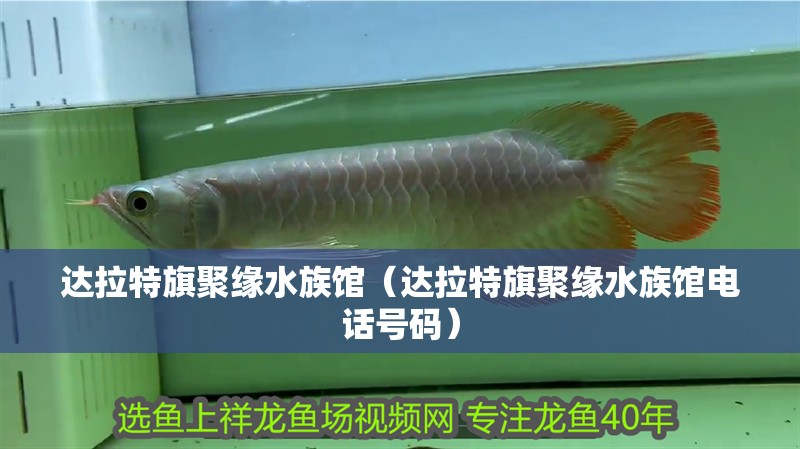 達拉特旗聚緣水族館（達拉特旗聚緣水族館電話號碼）