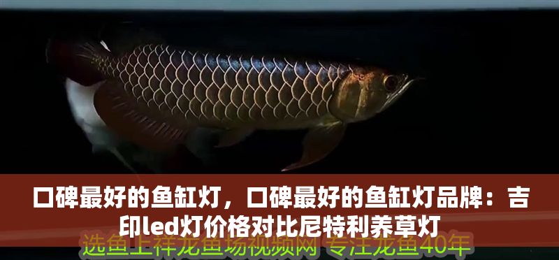 口碑最好的魚缸燈，口碑最好的魚缸燈品牌：吉印led燈價格對比尼特利養(yǎng)草燈