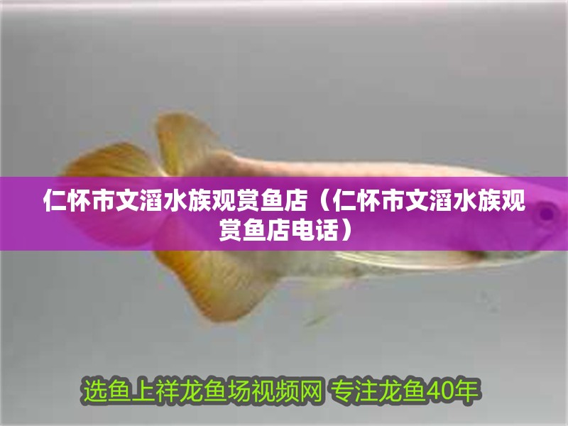 仁懷市文滔水族觀賞魚店（仁懷市文滔水族觀賞魚店電話）