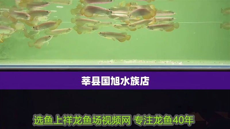 莘縣國旭水族店