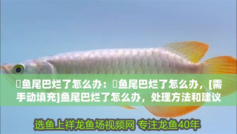 魟魚尾巴爛了怎么辦：魟魚尾巴爛了怎么辦，[需手動填充]魚尾巴爛了怎么辦，處理方法和建議