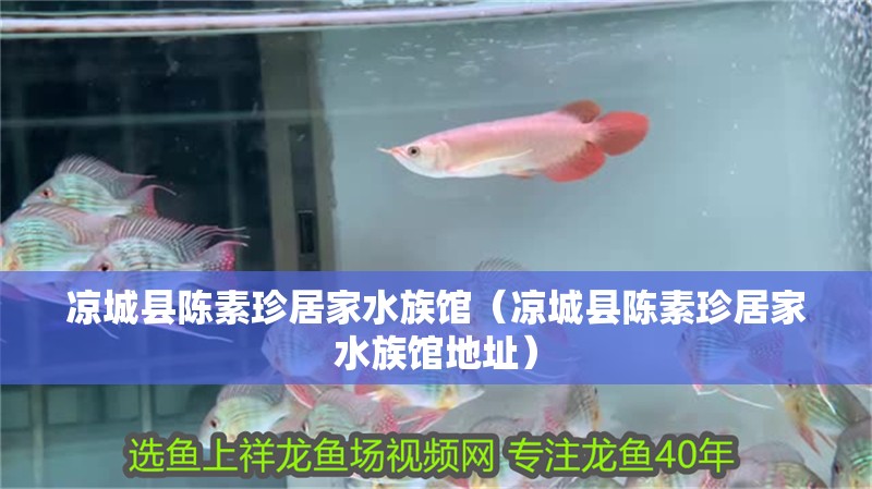 涼城縣陳素珍居家水族館（涼城縣陳素珍居家水族館地址）