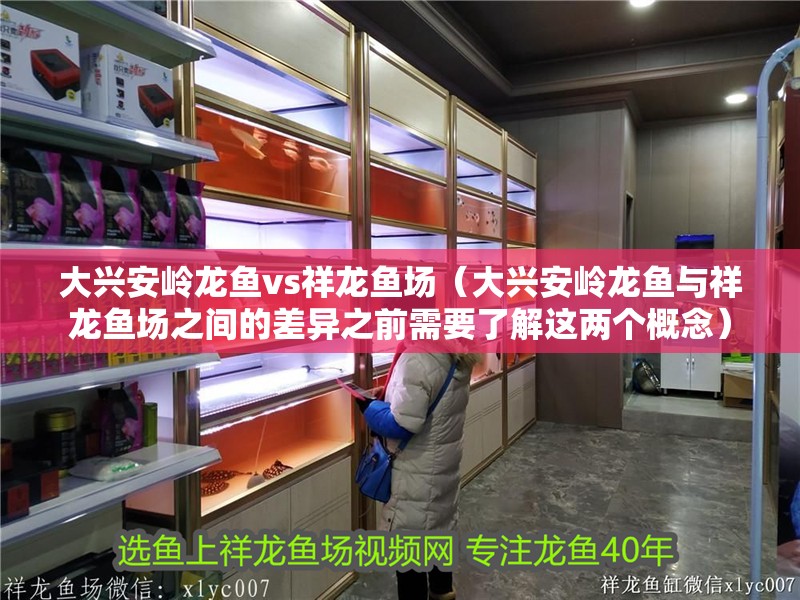 大興安嶺龍魚vs祥龍魚場（大興安嶺龍魚與祥龍魚場之間的差異之前需要了解這兩個概念）