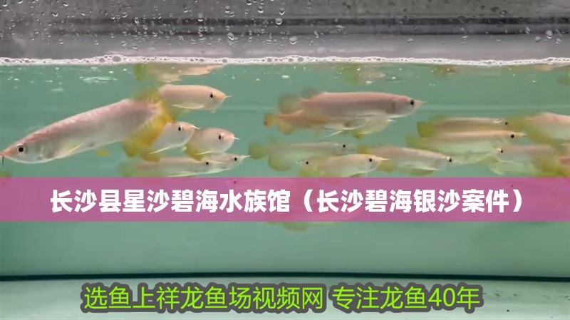 長(zhǎng)沙縣星沙碧海水族館（長(zhǎng)沙碧海銀沙案件）