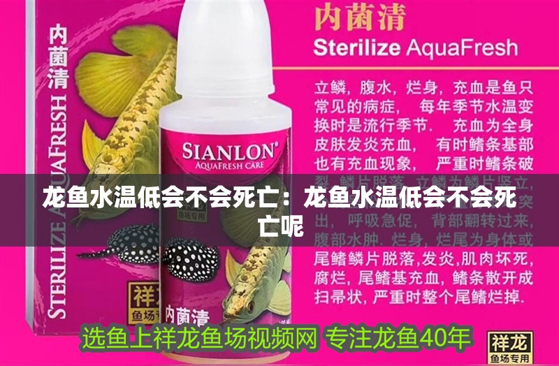 什么魚缸燈照魚色最好看(魚缸燈什么顏色對魚好)