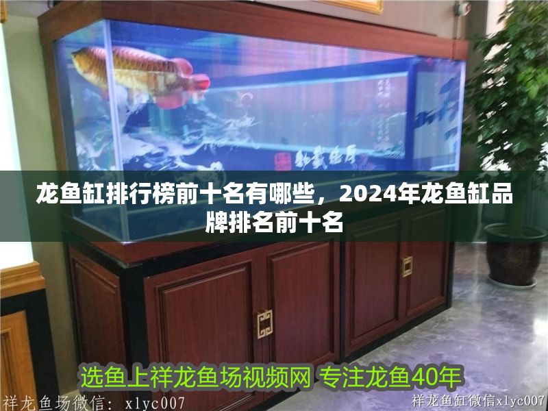 龍魚(yú)缸排行榜前十名有哪些,2024年龍魚(yú)缸品牌排名前十名 魚(yú)缸百科 第2張 龍魚(yú)缸排行榜前十名有哪些,2024年龍魚(yú)缸品牌排名前十名 龍魚(yú)缸排行榜前十名有哪些,2024年龍魚(yú)缸品牌排名前十名 魚(yú)缸百科 第2張