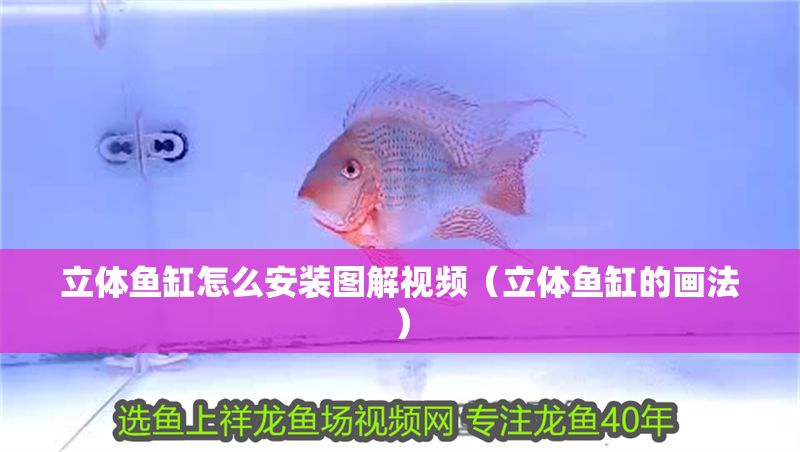 立體魚缸怎么安裝圖解視頻（立體魚缸的畫法）
