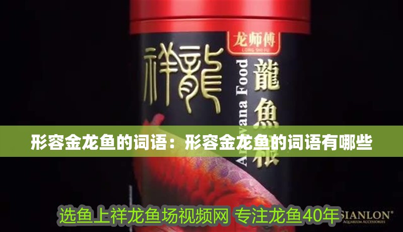 形容金龍魚的詞語：形容金龍魚的詞語有哪些