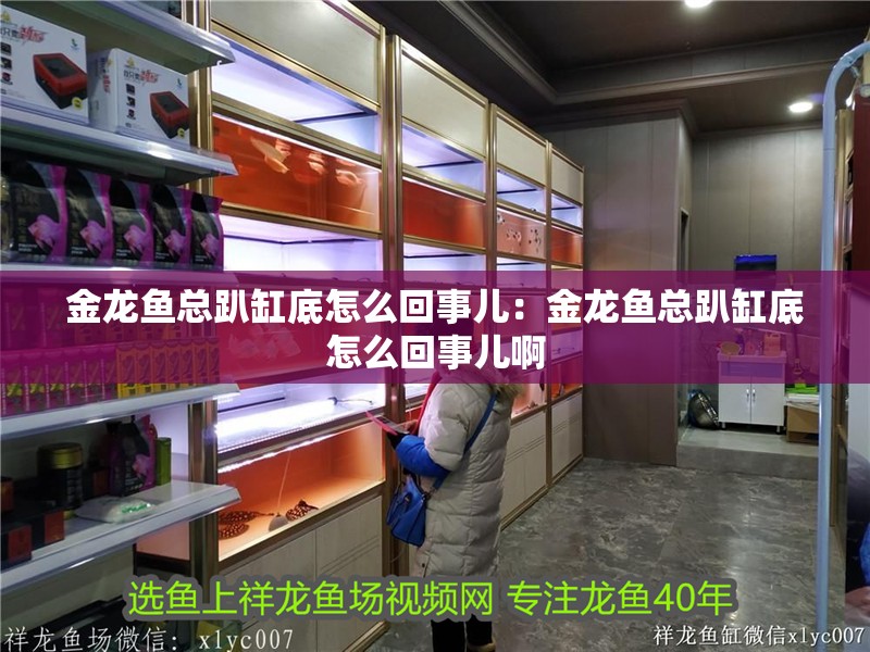 金龍魚總趴缸底怎么回事兒：金龍魚總趴缸底怎么回事兒啊