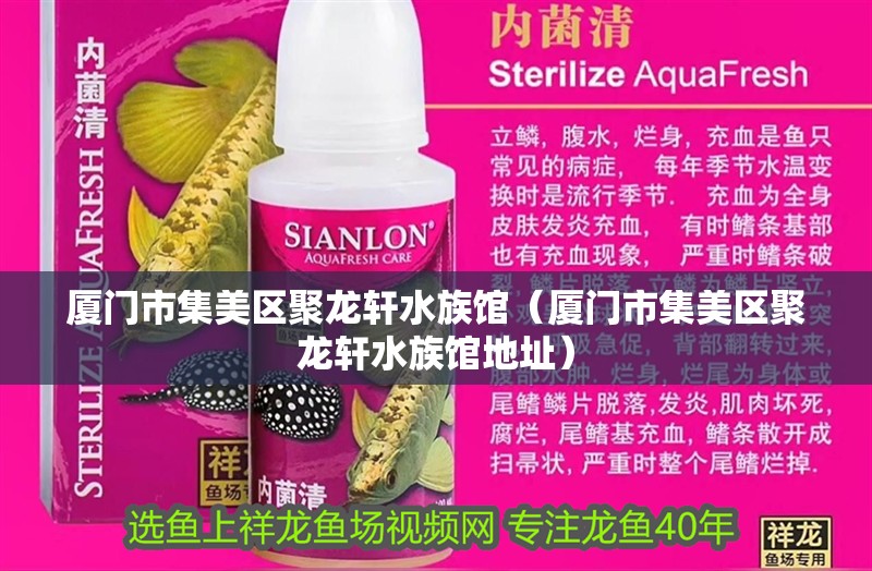 廈門市集美區聚龍軒水族館（廈門市集美區聚龍軒水族館地址）