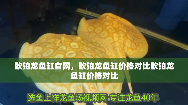 歐鉑龍魚缸官網(wǎng)，歐鉑龍魚缸價(jià)格對比歐鉑龍魚缸價(jià)格對比