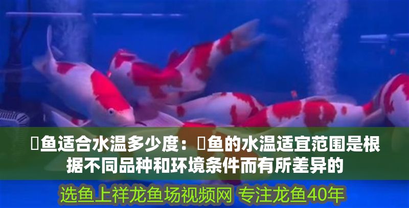 魟魚適合水溫多少度：魟魚的水溫適宜范圍是根據不同品種和環境條件而有所差異的