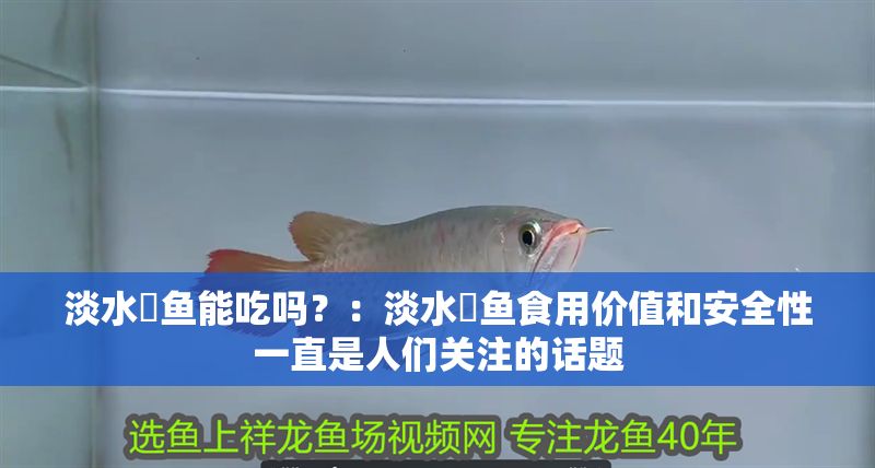 淡水魟魚(yú)能吃嗎？：淡水魟魚(yú)食用價(jià)值和安全性一直是人們關(guān)注的話(huà)題