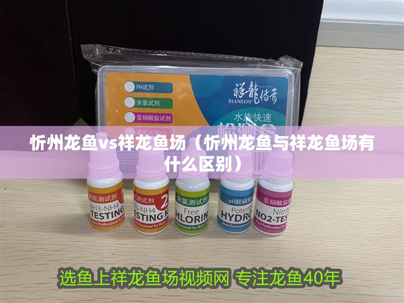 忻州龍魚vs祥龍魚場（忻州龍魚與祥龍魚場有什么區(qū)別）