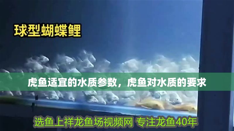 虎魚適宜的水質(zhì)參數(shù)，虎魚對(duì)水質(zhì)的要求