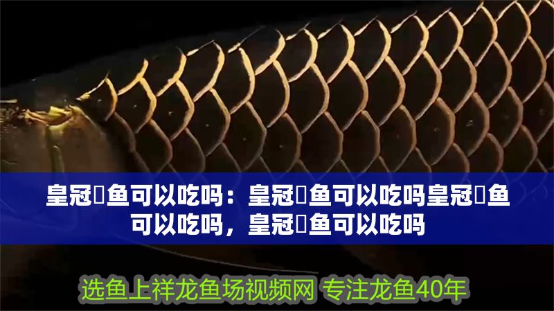 皇冠魟魚可以吃嗎：皇冠魟魚可以吃嗎皇冠魟魚可以吃嗎，皇冠魟魚可以吃嗎