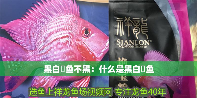 黑白魟魚不黑：什么是黑白魟魚