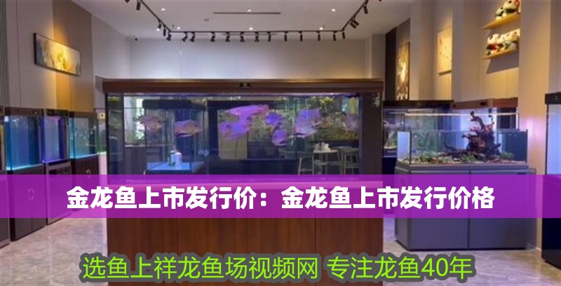 金龍魚上市發行價：金龍魚上市發行價格