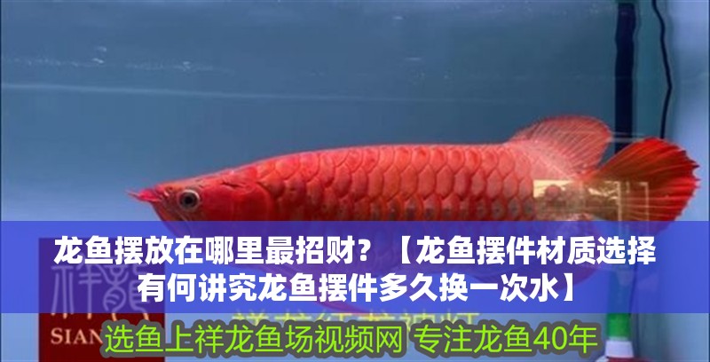 龍魚擺放在哪里最招財？【龍魚擺件材質選擇有何講究龍魚擺件多久換一次水】 龍魚擺放在哪里最招財？【龍魚擺件材質選擇有何講究龍魚擺件多久換一次水】 龍魚論壇
