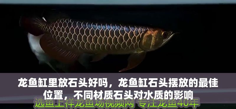 龍魚缸里放石頭好嗎，龍魚缸石頭擺放的最佳位置，不同材質(zhì)石頭對(duì)水質(zhì)的影響 龍魚缸里放石頭好嗎，龍魚缸石頭擺放的最佳位置，不同材質(zhì)石頭對(duì)水質(zhì)的影響 魚缸百科 第2張