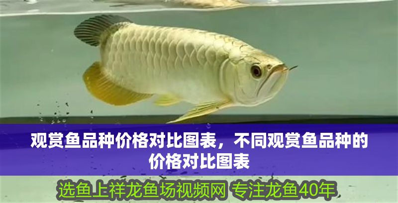 觀賞魚品種價格對比圖表,不同觀賞魚品種的價格對比圖表 虎魚百科 第2張 觀賞魚品種價格對比圖表,不同觀賞魚品種的價格對比圖表 觀賞魚品種價格對比圖表,不同觀賞魚品種的價格對比圖表 虎魚百科 第2張