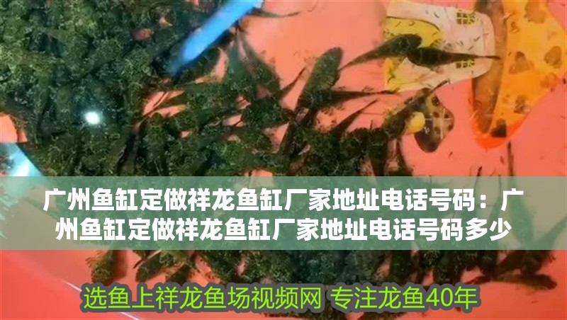 廣州魚缸定做祥龍魚缸廠家地址電話號碼：廣州魚缸定做祥龍魚缸廠家地址電話號碼多少