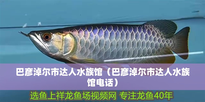 巴彥淖爾市達人水族館（巴彥淖爾市達人水族館電話）