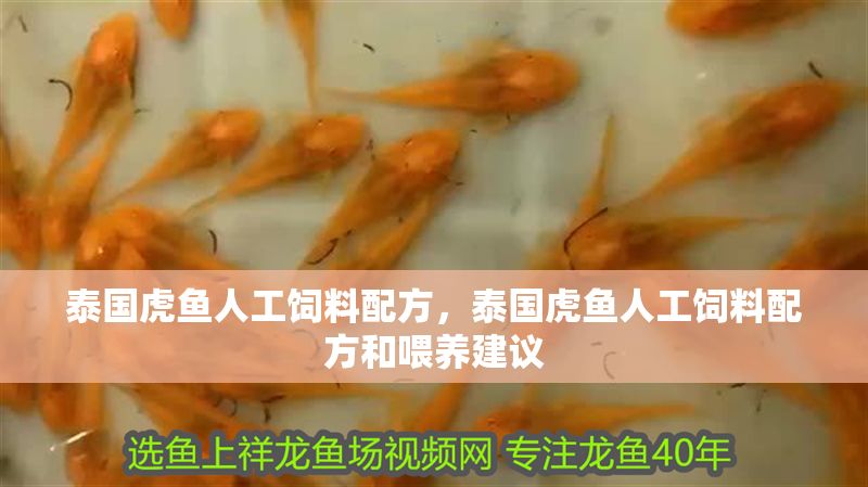 泰國虎魚人工飼料配方，泰國虎魚人工飼料配方和喂養建議