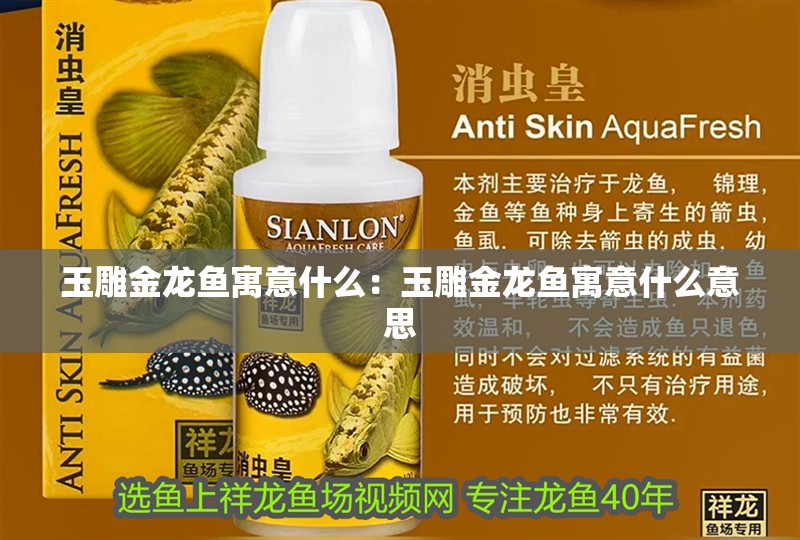 玉雕金龍魚寓意什么:玉雕金龍魚寓意什么意思 水族問答 玉雕金龍魚寓意什么:玉雕金龍魚寓意什么意思 玉雕金龍魚寓意什么:玉雕金龍魚寓意什么意思 水族問答