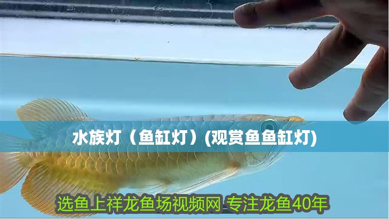 水族燈（魚缸燈）(觀賞魚魚缸燈)