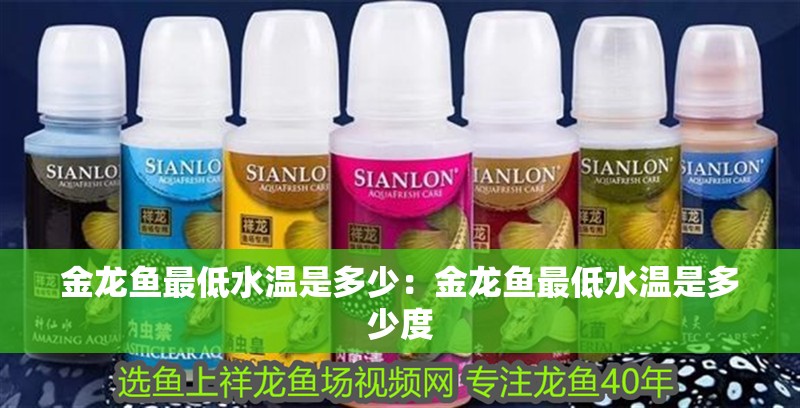 金龍魚最低水溫是多少：金龍魚最低水溫是多少度