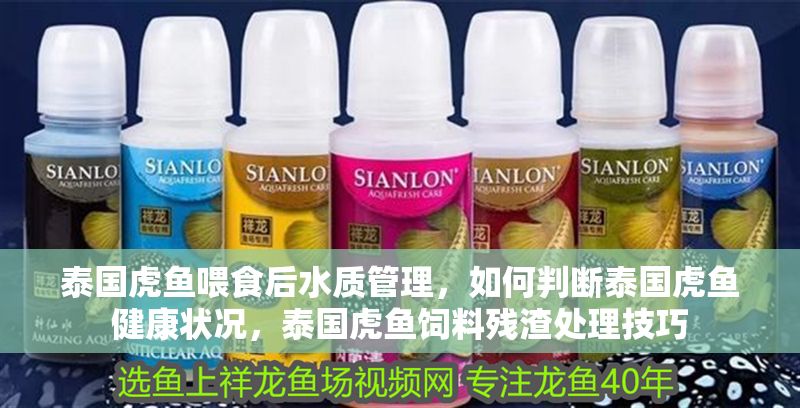 泰國虎魚喂食后水質管理，如何判斷泰國虎魚健康狀況，泰國虎魚飼料殘渣處理技巧