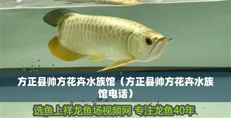 方正縣帥方花卉水族館（方正縣帥方花卉水族館電話）