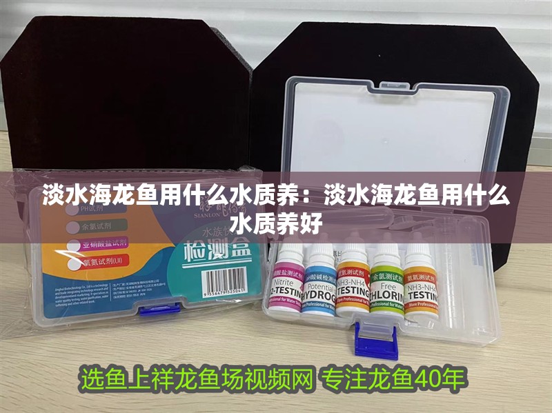 淡水海龍魚用什么水質養：淡水海龍魚用什么水質養好