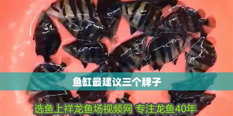 魚缸最建議三個牌子