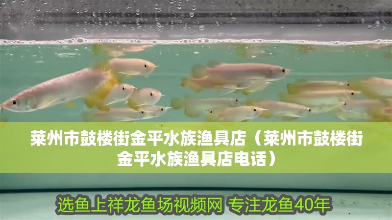 萊州市鼓樓街金平水族漁具店（萊州市鼓樓街金平水族漁具店電話）
