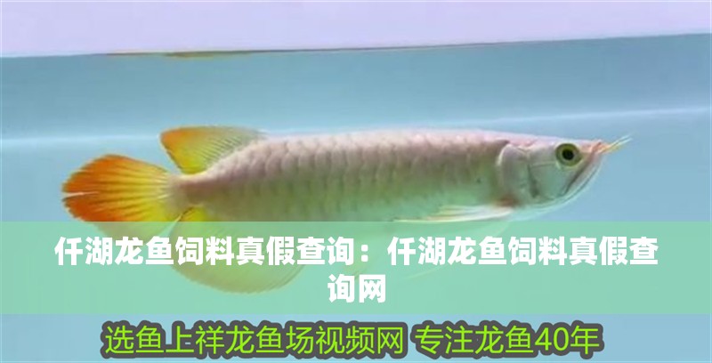 仟湖龍魚飼料真假查詢：仟湖龍魚飼料真假查詢網 仟湖龍魚飼料真假查詢：仟湖龍魚飼料真假查詢網 水族問答