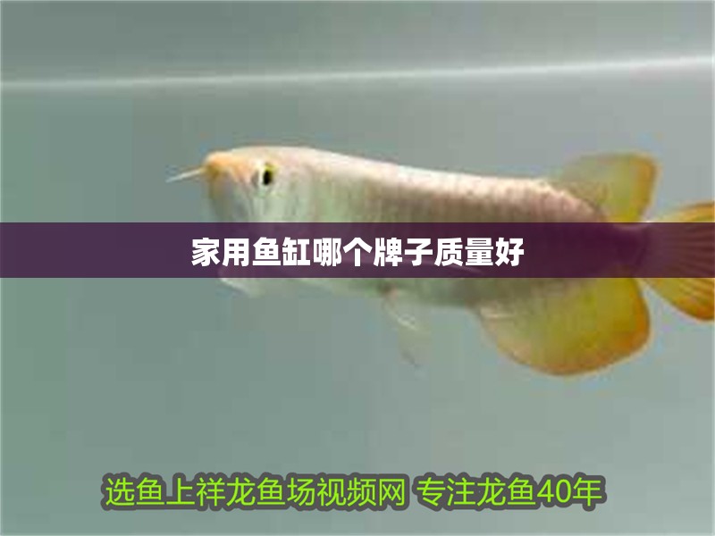 家用魚缸哪個牌子質量好